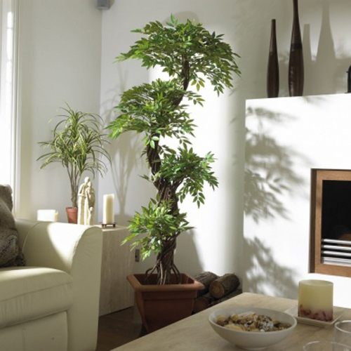 Artificial Plants & Foliage