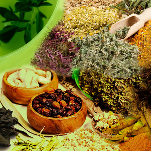 Ayurvedic,Herbal Products & Medicine