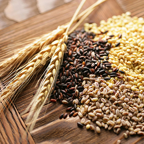 Cereals & Food Grains