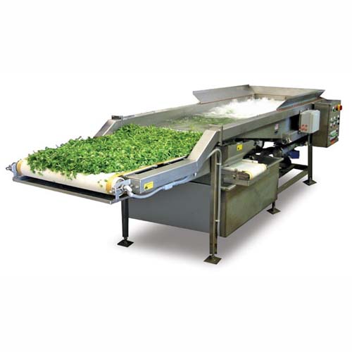 Fruit & Vegetable Processing Machine