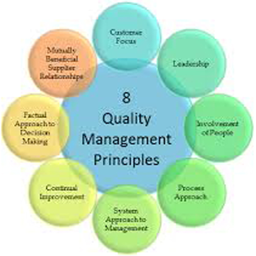 ISO & Quality Management Consultants