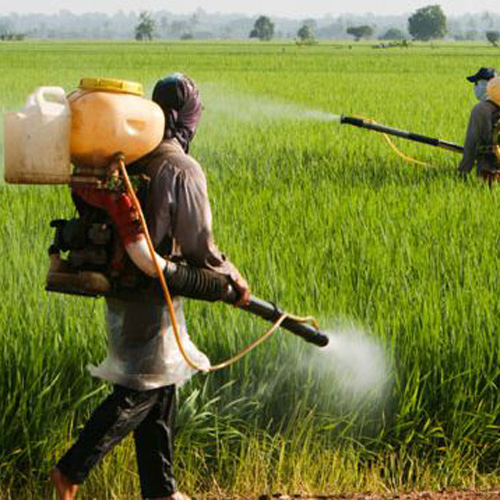 Insecticides and Pesticides