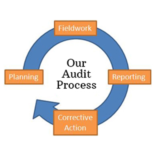 Internal Audit & Management Audit
