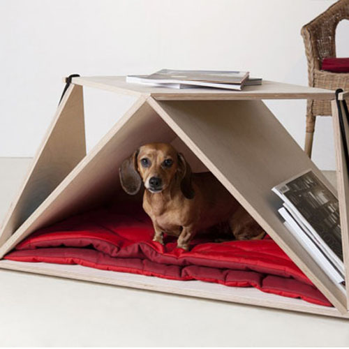 Pet Feed Furniture & Products