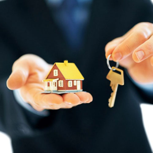 Real Estate Agent & Property Dealers