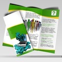 Brochure Designing Service