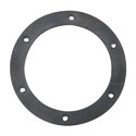 Fuel Pump Gasket