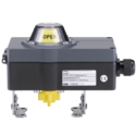 Pneumatic Rotary Actuators