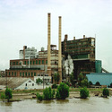 Sugar Plant