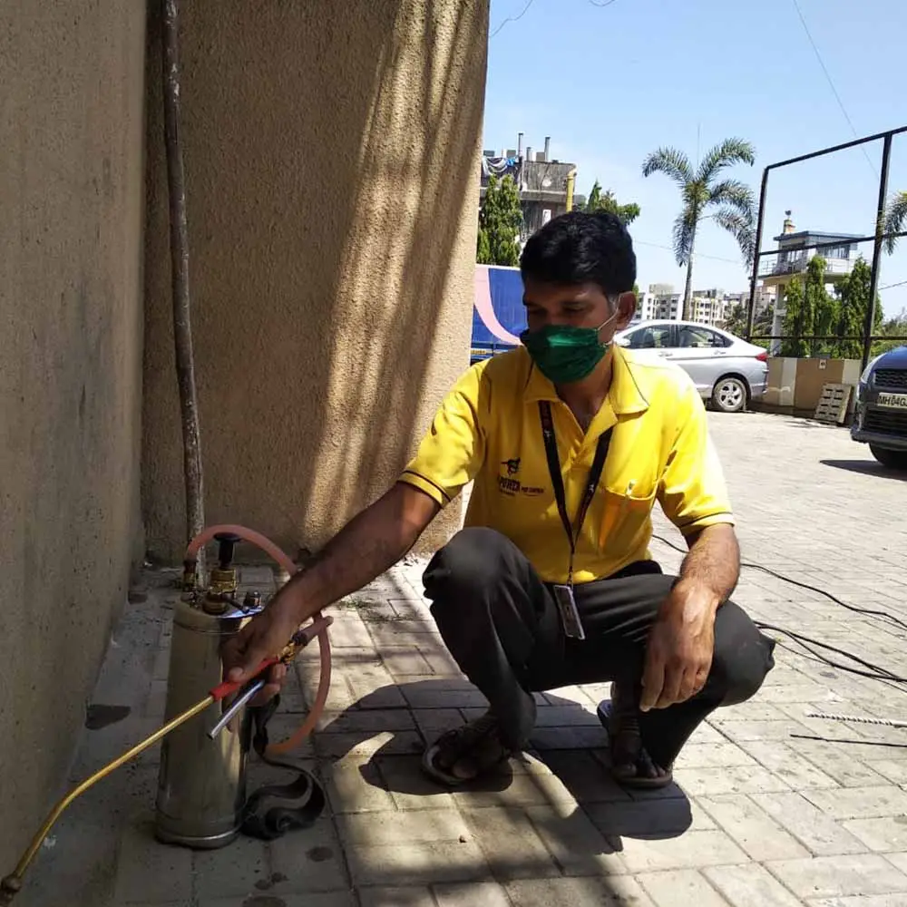 Anti-termite Treatment Service Provider in Mumbai