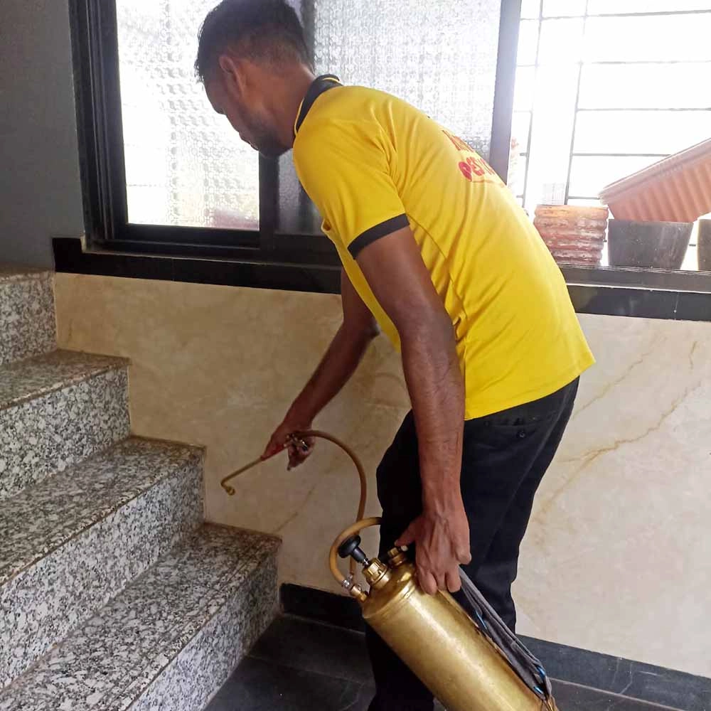 Cockroach Treatment Service Provider in Mumbai