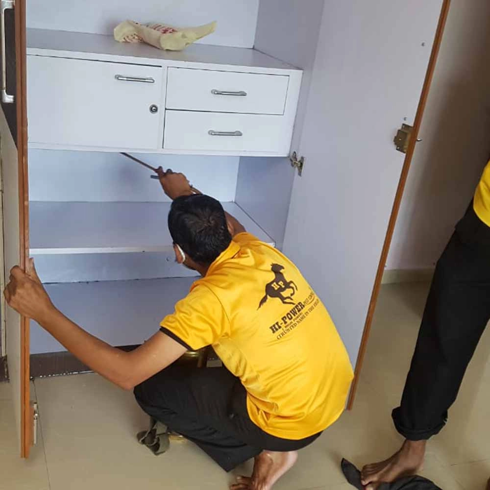 Wood Borer Treatment Service Provider in Mumbai