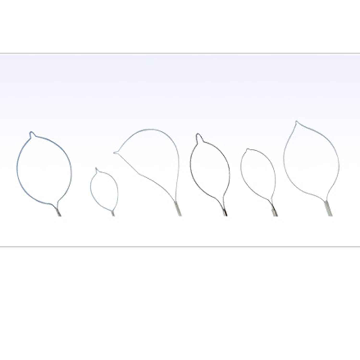 Polypectomy Snares