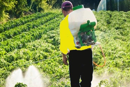 Automatic Stretch Wrapping Machine Manufacturers, Suppliers, Exporters in Mumbai India