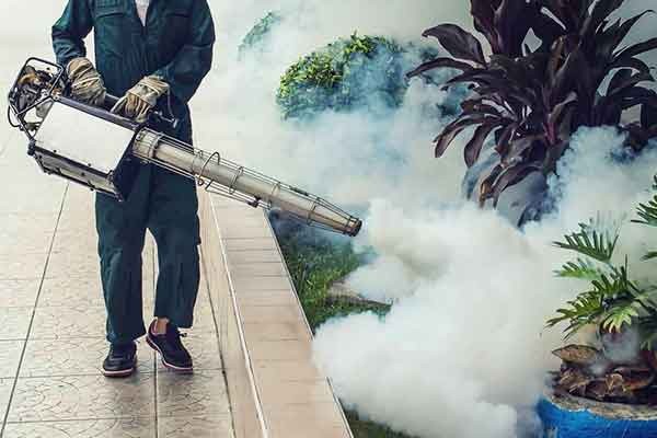 Fumigation Pest Control Services in Mumbai