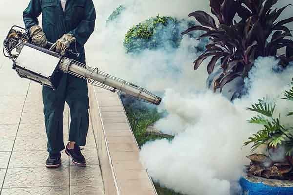 Fumigation Pest Control Services Service Provider in Mumbai