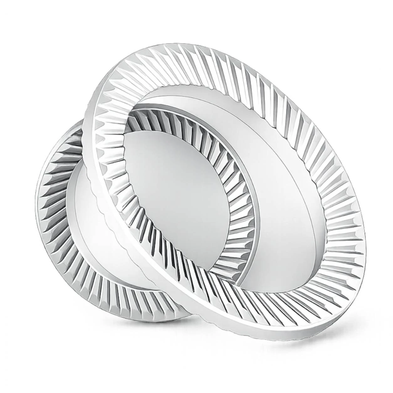 Schnorr Type Washer Suppliers in Pune, Maharshtra, India