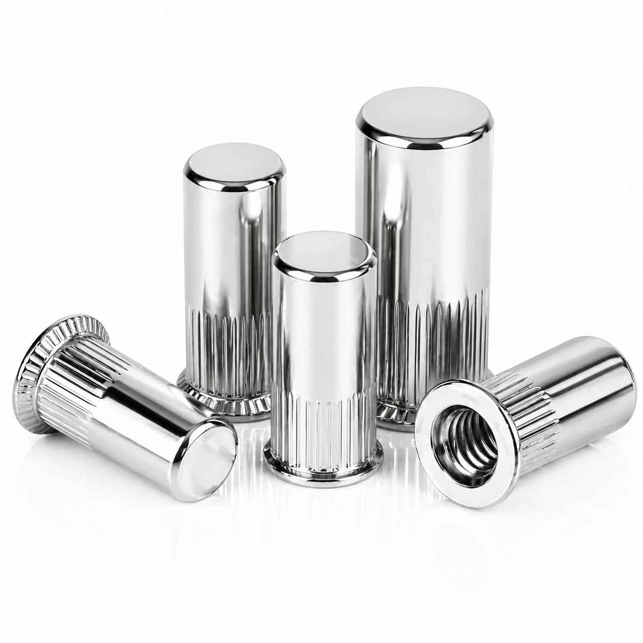 SS Blind Insert Nut Manufacturers in Mumbai India