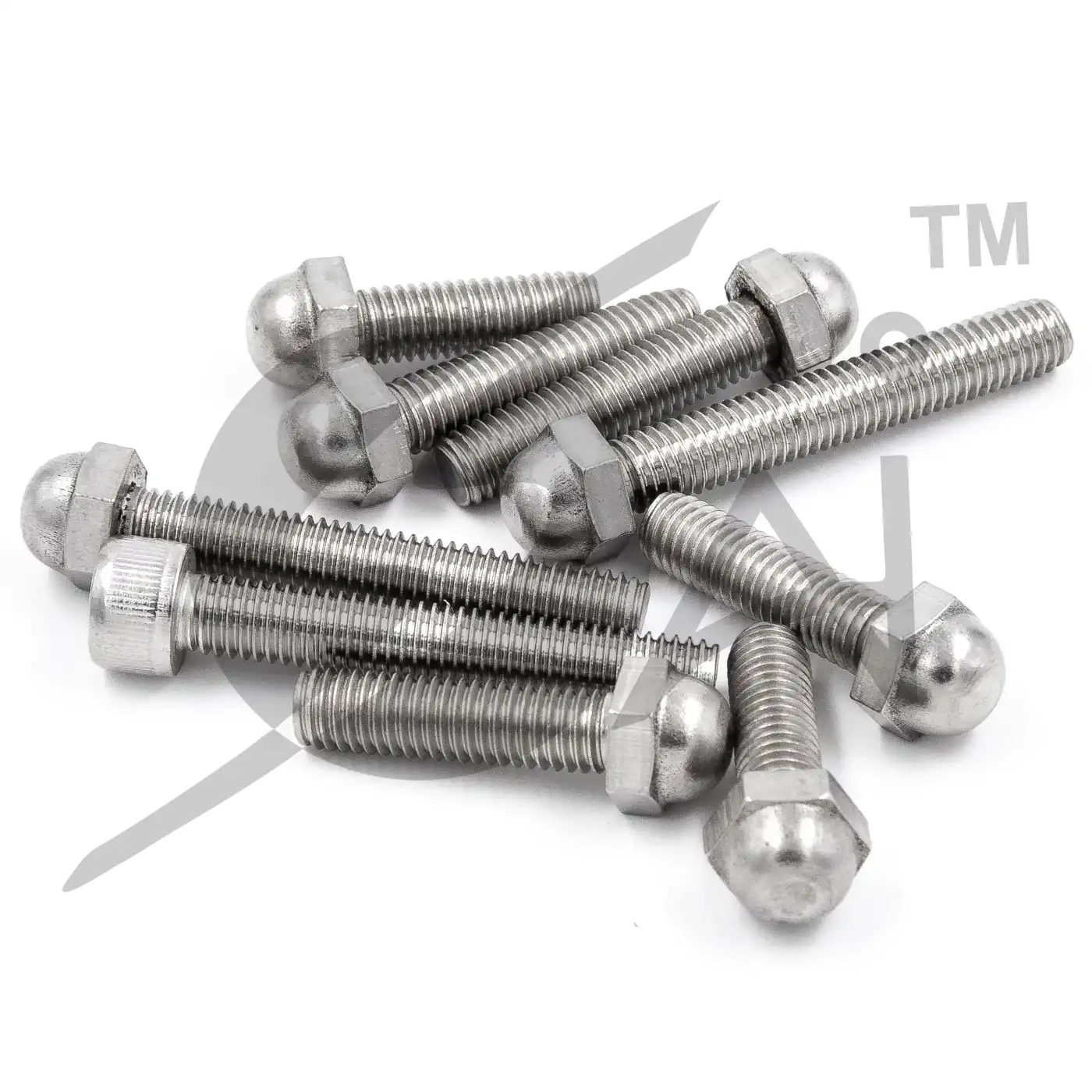 Stainless Steel Dome Bolt Suppliers in Mumbai India