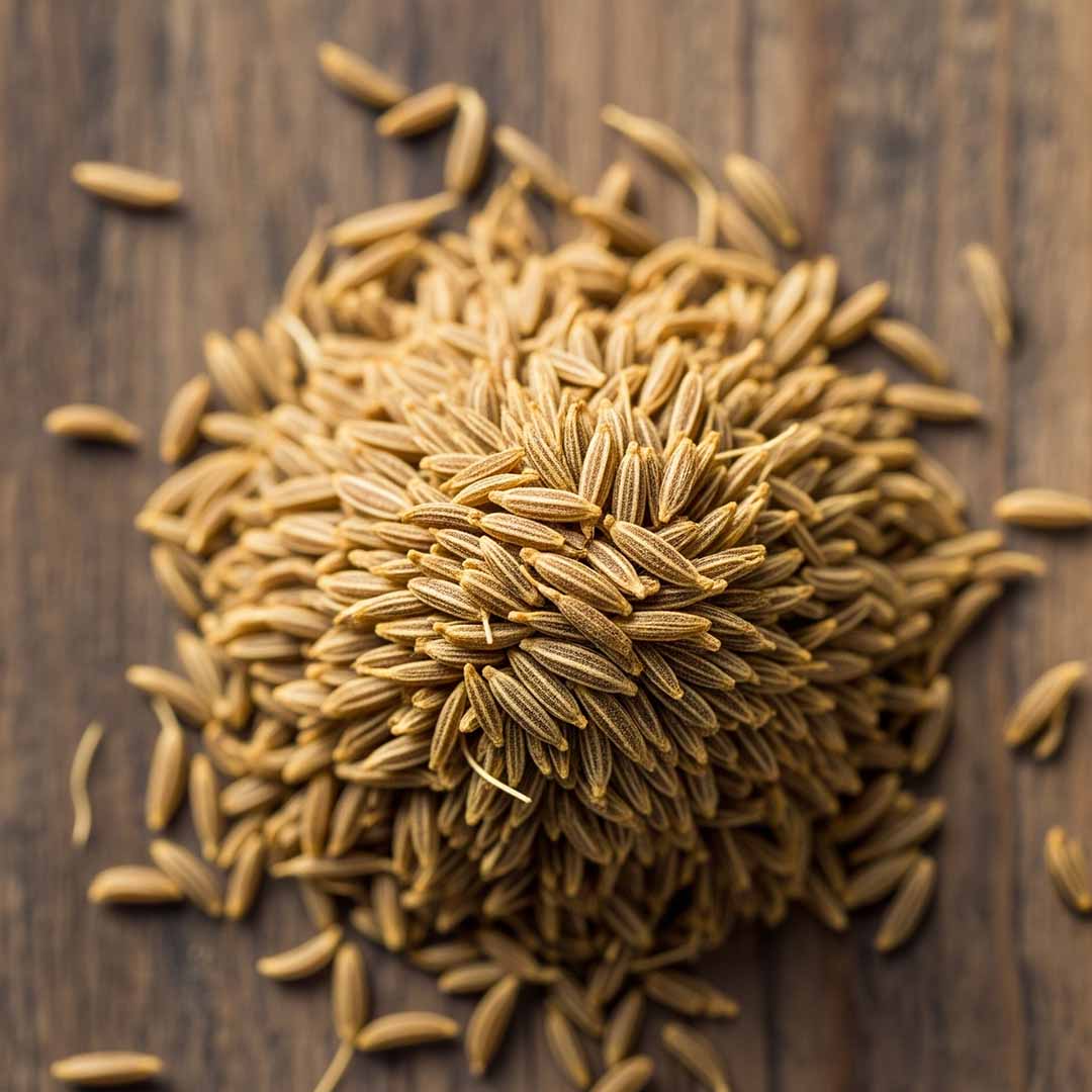 Cumin Seeds Manufacturers, Suppliers in Mumbai India
