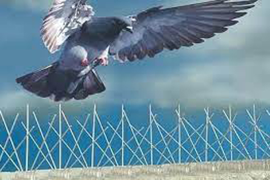 Automatic Stretch Wrapping Machine Manufacturers, Suppliers, Exporters in Mumbai India